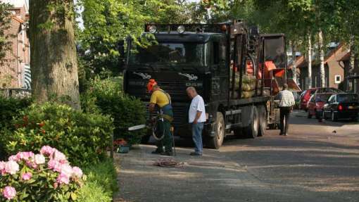 rooien van bomen afvoeren takken en stamhout